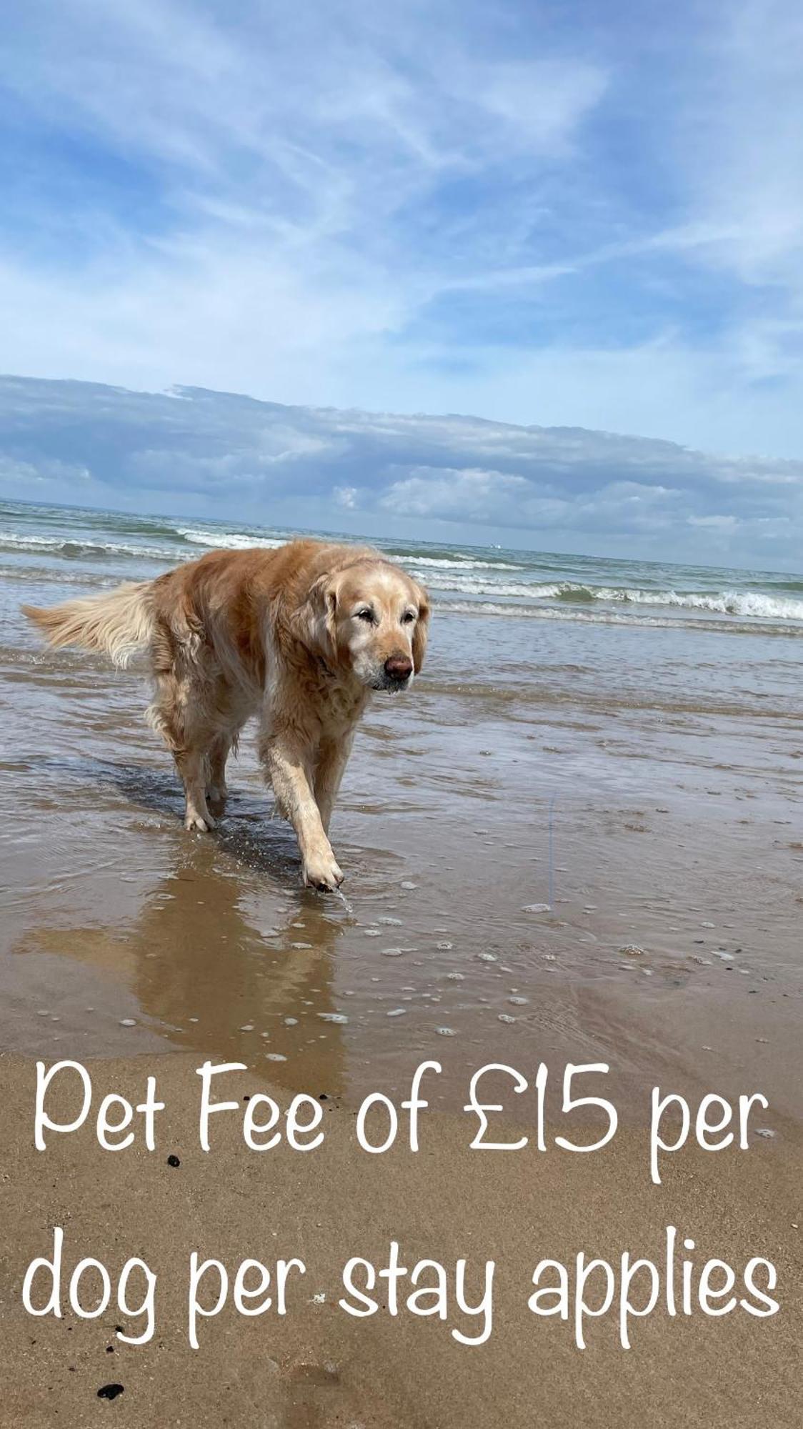 Fab Stay Uk - Coastal And Country Retreat With Free Secure Off Road Parking Minutes From Both Dover And Deal Kültér fotó